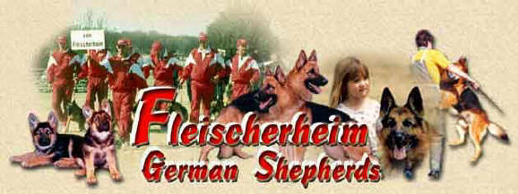Fleischerheim German Shepherd Purebred Puppies For Sale - GSD Breeder and Importer
