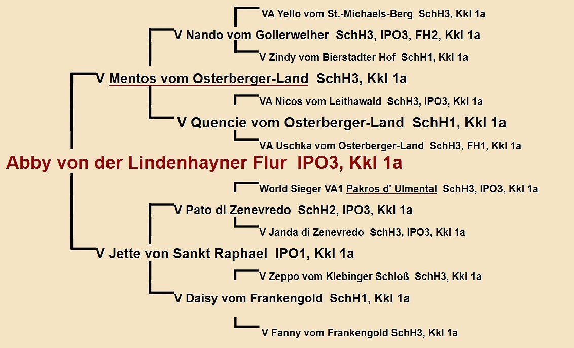 Britta vom Fleischerheim  Pedigree