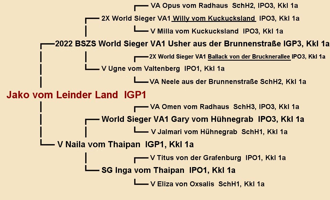 Pedigree of Jako vom Leinder Land IGP1 | Fleischerheim Imported Trained Protection German Shepherd Male Guard Dogs for sale