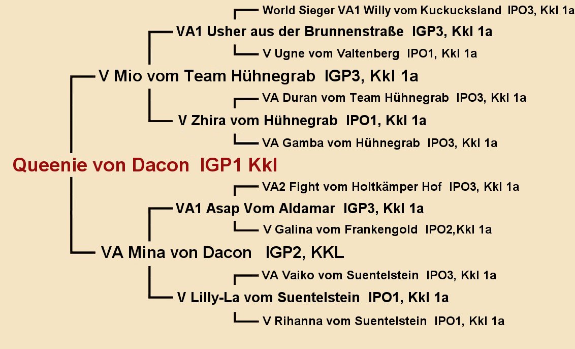 Pedigree of Queenie von Dacon IGP1 - Female German Shepherd Dam of Puppies from Germany available in Utah Oregon Washington