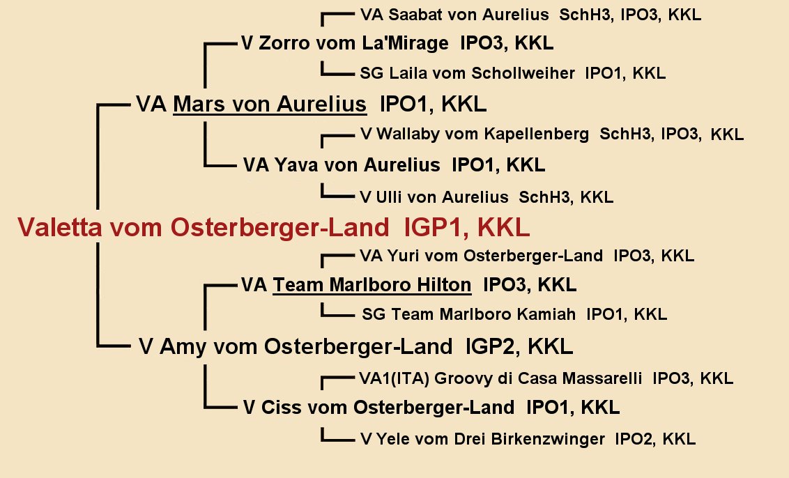 Pedigree of V Valetta vom Osterberger-Land IGP1
